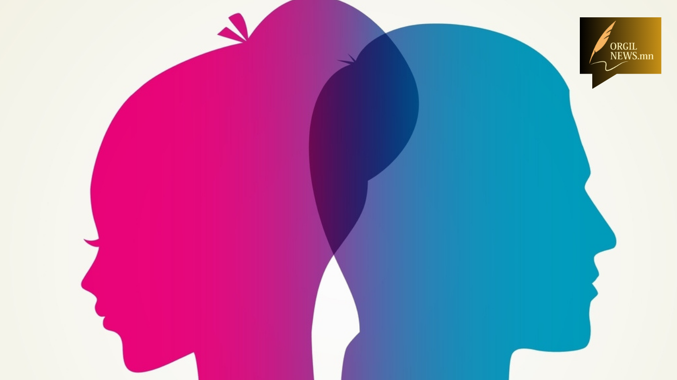 Өнөөдрийн тоо мэдээ