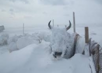 Бага болон дунд эрсдэлтэй нутгийн хэмжээ нэмэгдсэн байна