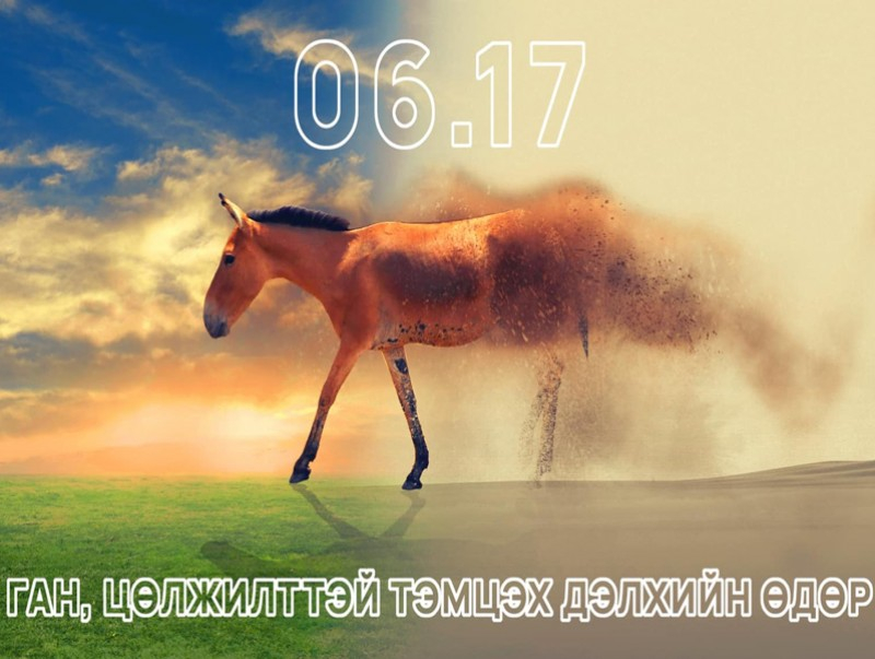 "Цөлжилттэй тэмцэх дэлхийн өдөр" тохиож байна
