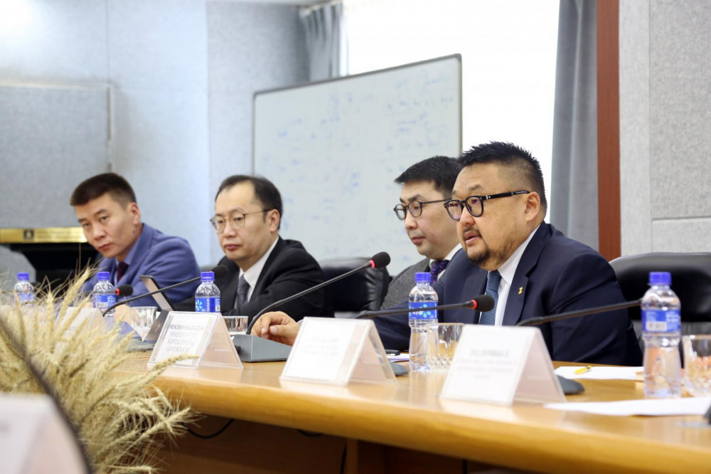 З.Мэндсайхан: Малын гаралтай түүхий эд боловсруулах үйлдвэрүүдийн төвлөрлийг сааруулах хэрэгтэй