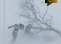 Цасан шуурганд төөрсөн гурван иргэний нэгийг амиа алдсан байдалтай байхад нь олжээ