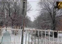 Хашааны стандартыг зэрлэг амьтдад ээлтэй болголоо