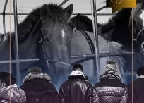 2025 оны есдүгээр сарын байдлаар улсын хэмжээнд 376 удаагийн мал хулгайлах гэмт хэрэг бүртгэгдэжээ.