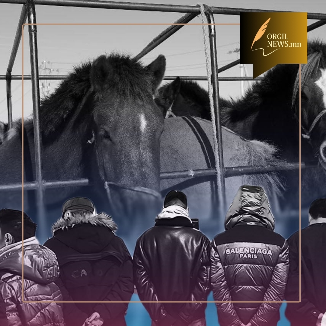 2025 оны есдүгээр сарын байдлаар улсын хэмжээнд 376 удаагийн мал хулгайлах гэмт хэрэг бүртгэгдэжээ.