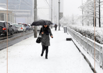 Нийслэлийн удирдах зөвлөгөөнөөр өвөлжилтийн бэлтгэл 95 хувьтай байгааг мэдээллээ.