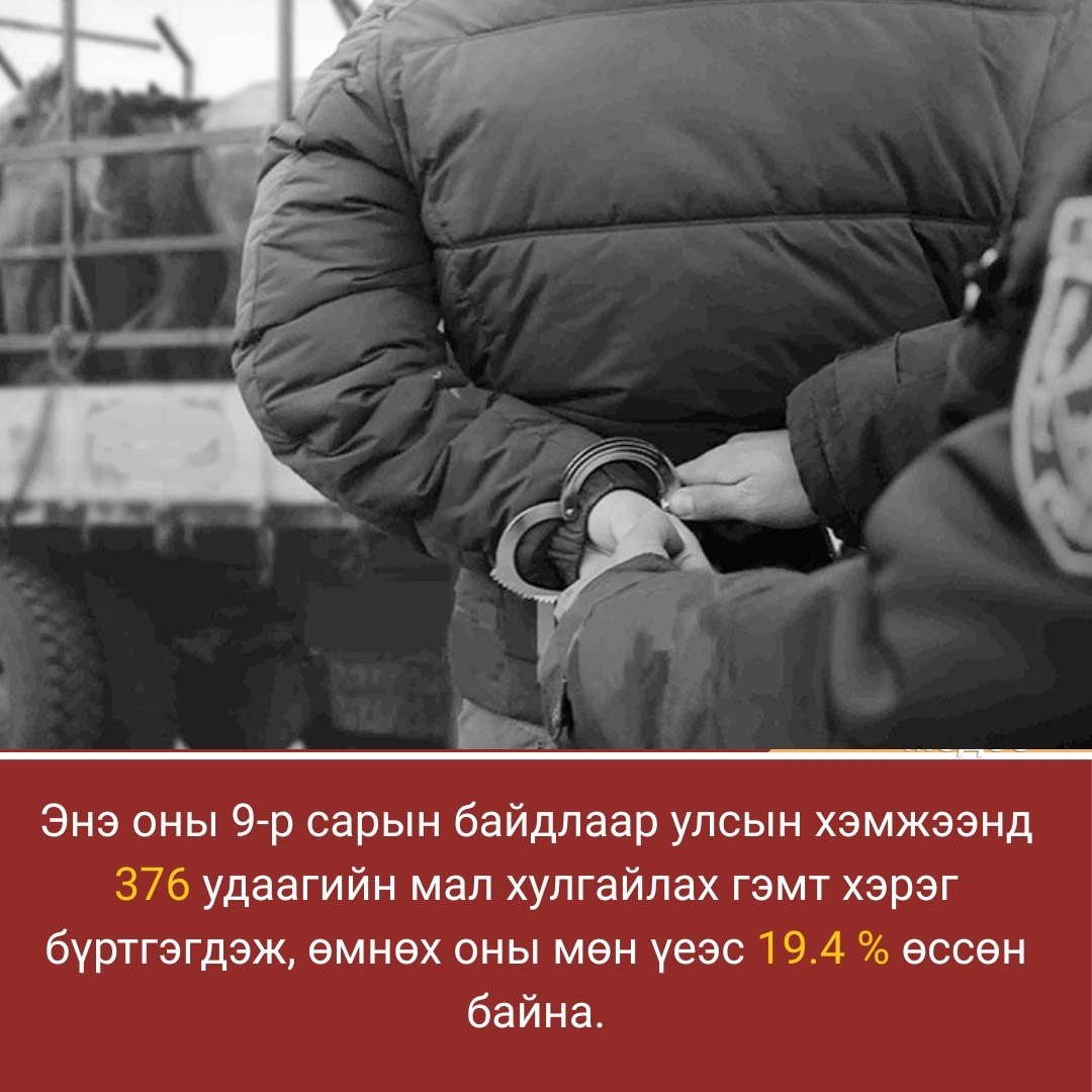 2025 оны есдүгээр сарын байдлаар улсын хэмжээнд 376 удаагийн мал хулгайлах гэмт хэрэг бүртгэгдэжээ.