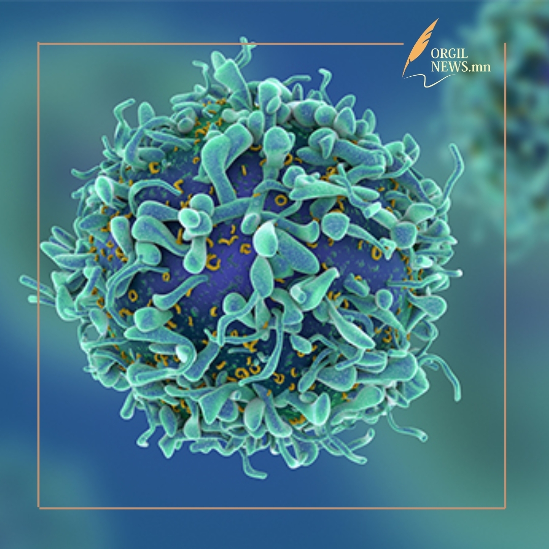 40-50 насны эрэгтэйчүүдийн хавдраар өвчилсөн тоо эмэгтэйчүүдийнхээс 11 дахин их. 60 нас хүрэхээр энэ харьцаа 20 дахин их болдог.